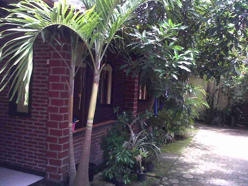 Rinjani Homestay Pangandaran Extérieur photo