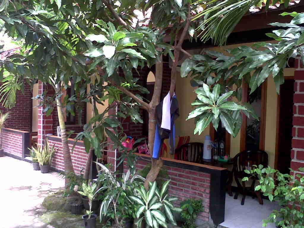Rinjani Homestay Pangandaran Extérieur photo