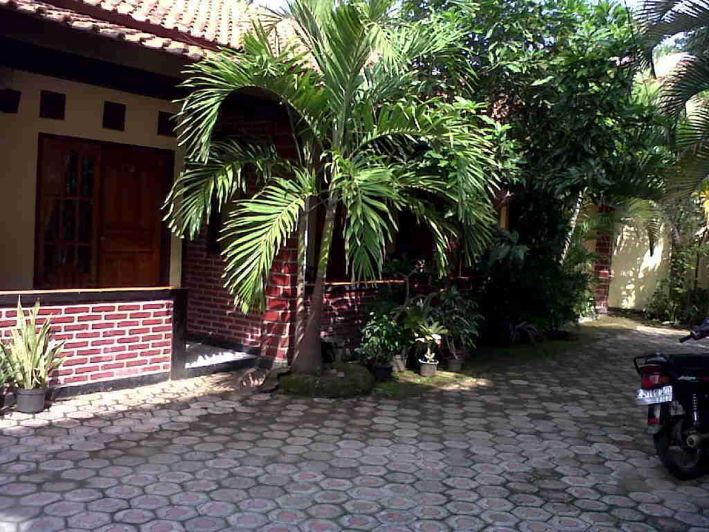 Rinjani Homestay Pangandaran Extérieur photo